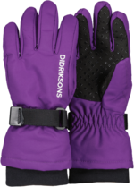Biggles Kids' Gloves