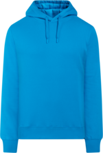 Ven Men's Hoodie