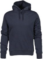 Ven Men's Hoodie