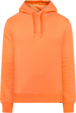 Ven Men's Hoodie