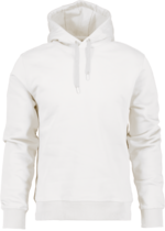 Ven Men's Hoodie