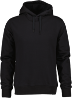 Ven Men's Hoodie