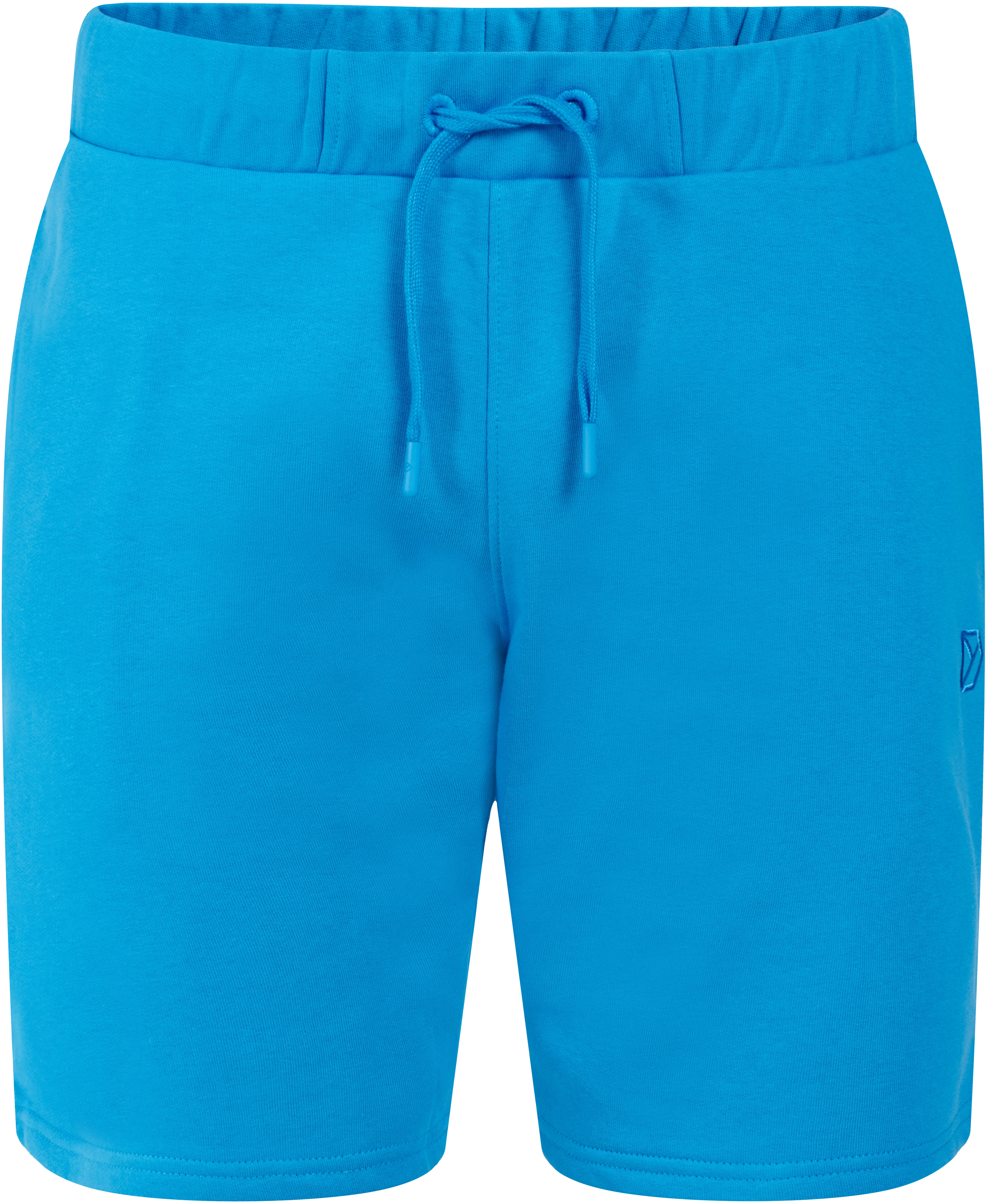 Fejan Shorts - Didriksons